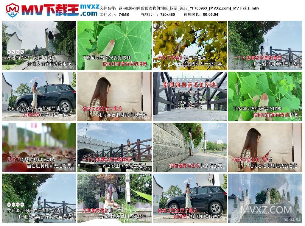 露·如烟-指间的雨滴我的泪痕_国语_流行_YF700963